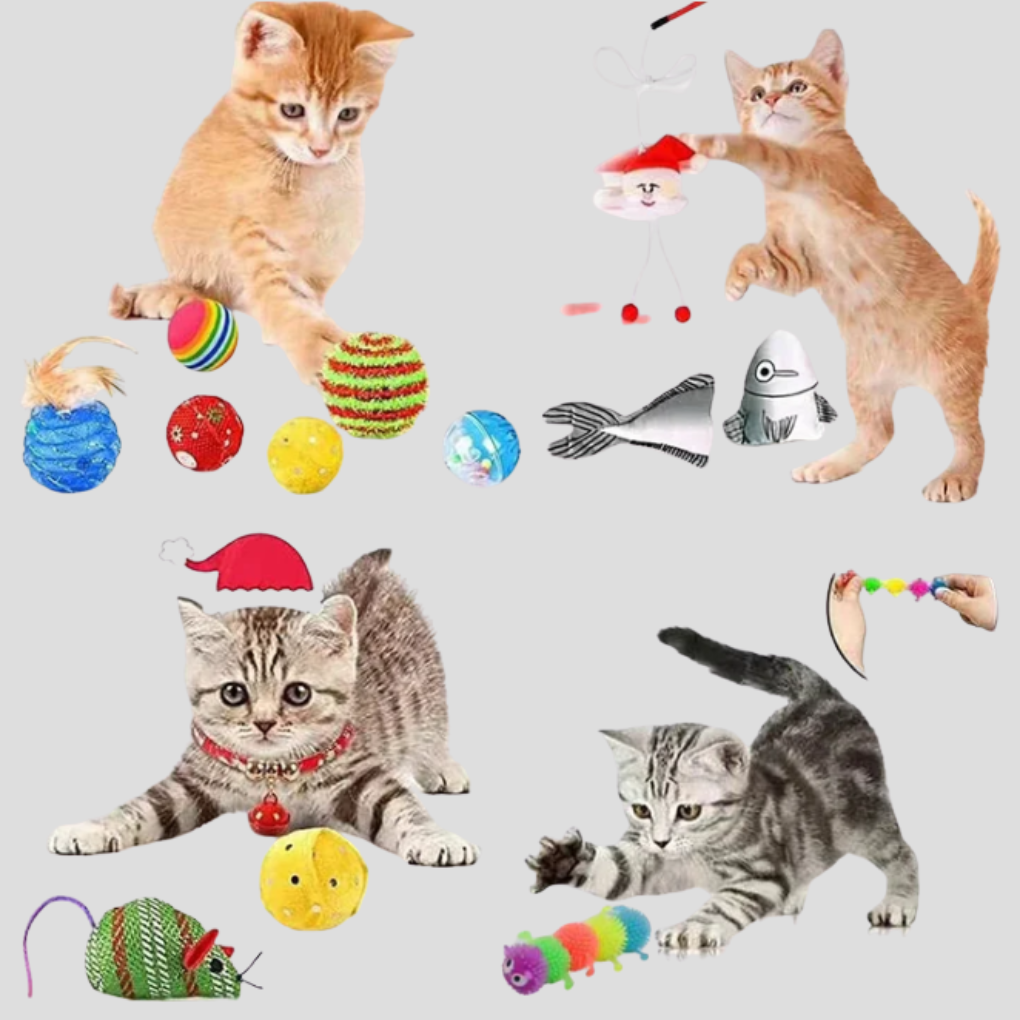 Charly | Cat Toy Advent Calendar 24-Day Countdown with Interactive Surprises