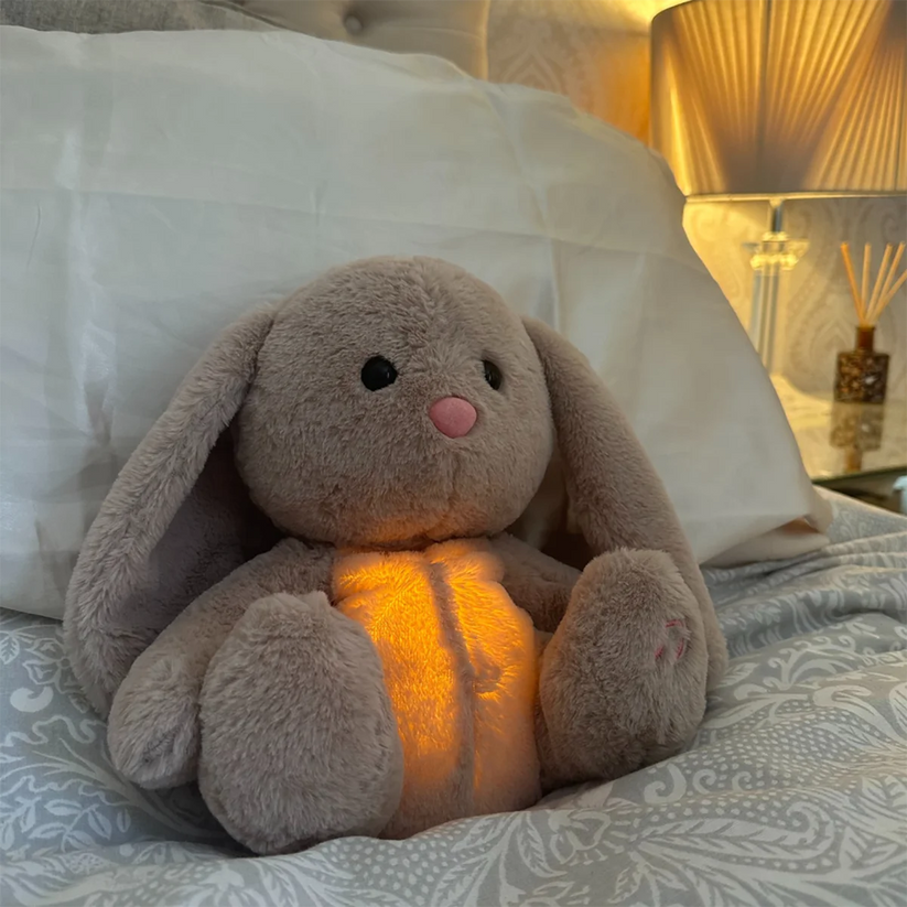 Calming Cuddle Toy