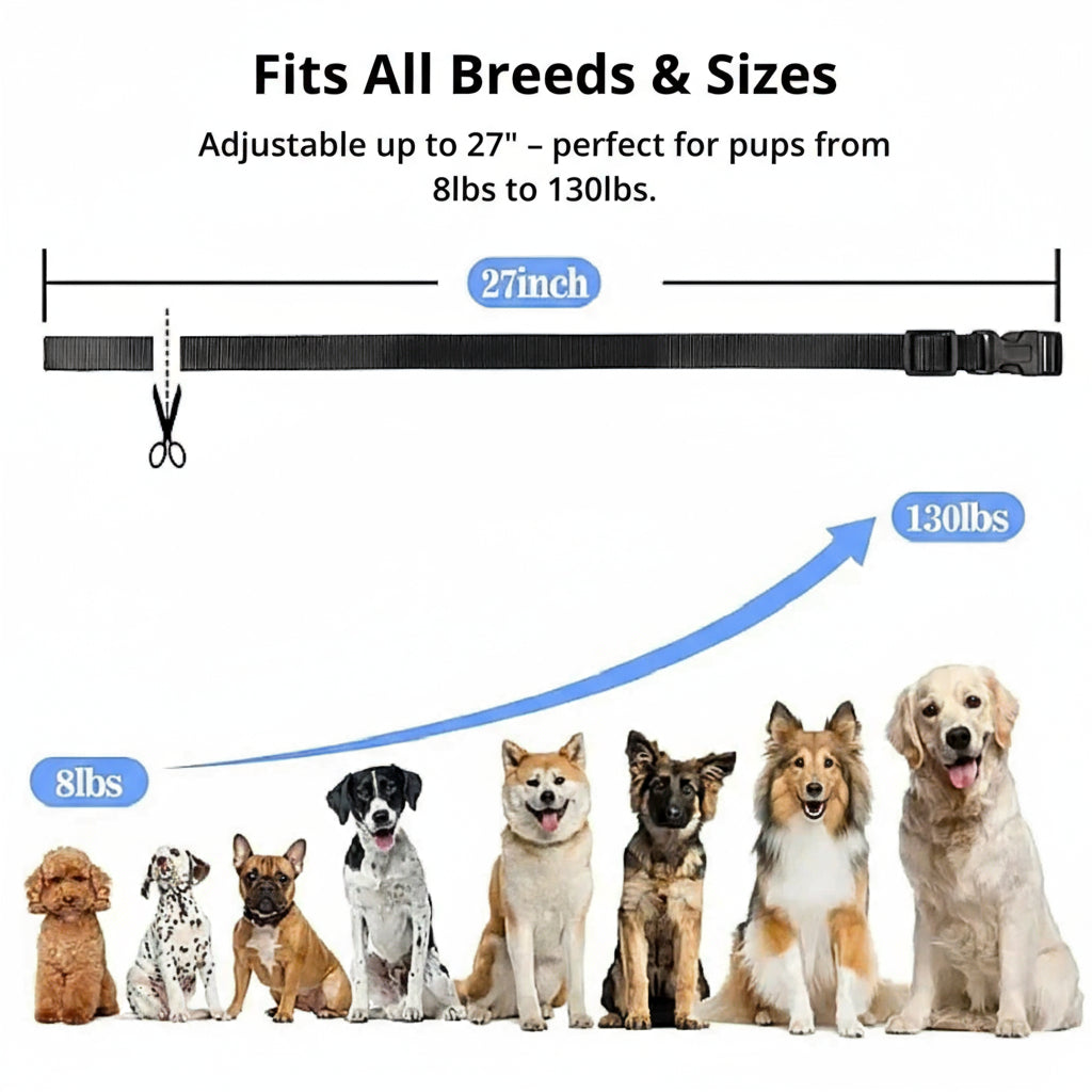 Charly | 1000m Waterproof Dog Training Collar | Rechargeable, Remote Control & Adjustable for Small, Medium, and Large Dogs