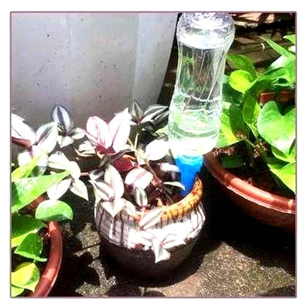 Charly | Automatic Plant Waterer - Adjustable Flow Garden Aid Spikes
