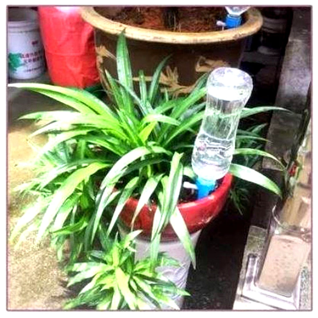 Charly | Automatic Plant Waterer - Adjustable Flow Garden Aid Spikes