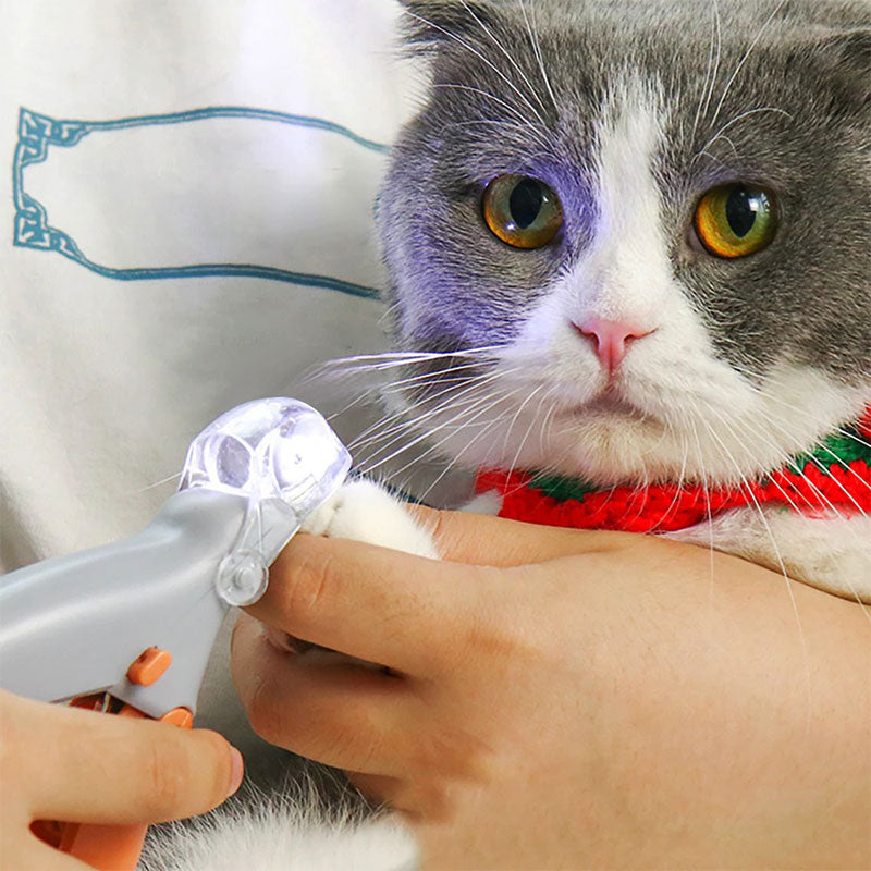 Charly | Best Dog Nail Clipper With Quick Sensors