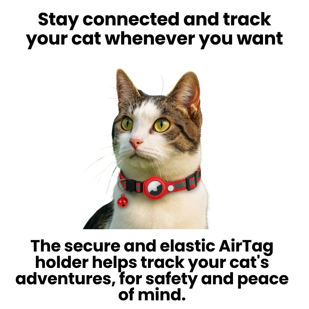 Charly | Cat GPS Tracking Collar | Quick Release Lock, Reflective Design & Durable for Outdoor Safety Adventures