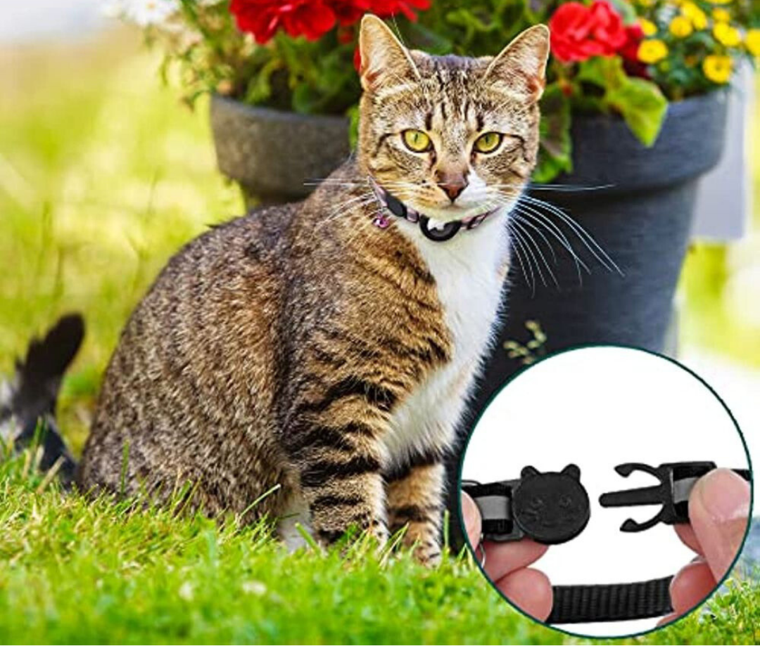 Charly | Cat GPS Tracking Collar | Quick Release Lock, Reflective Design & Durable for Outdoor Safety Adventures