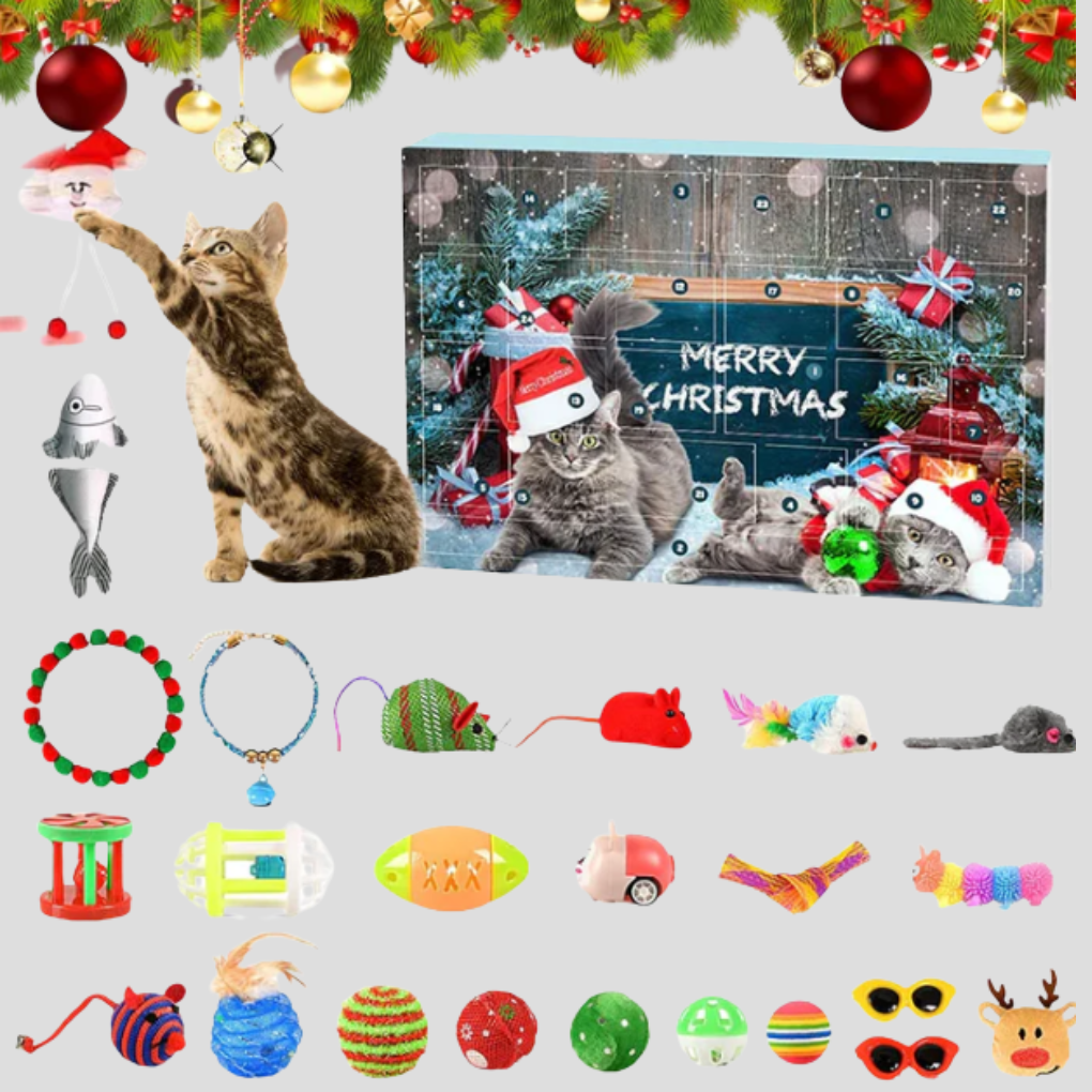 Charly | Cat Toy Advent Calendar 24-Day Countdown with Interactive Surprises