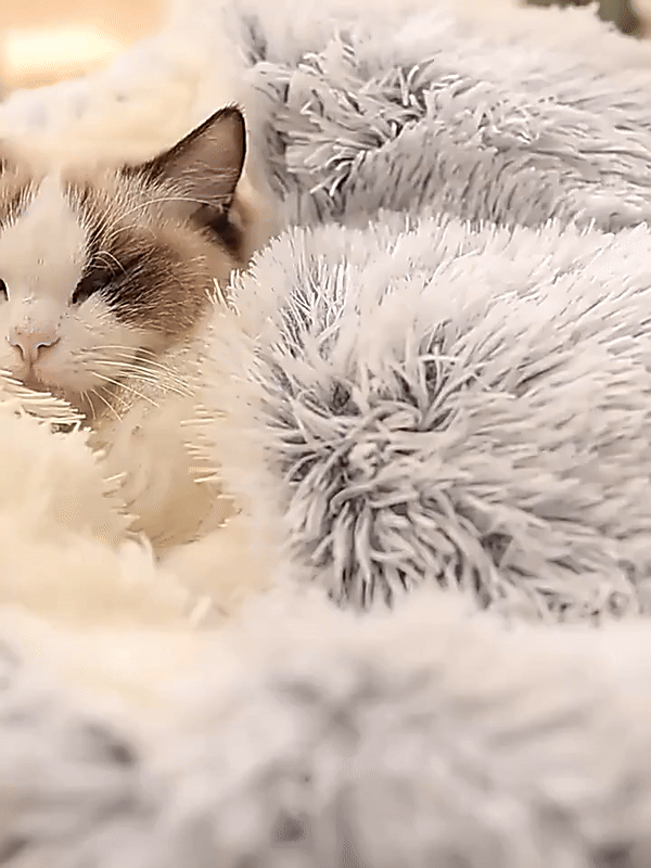 Charly | Cozy Cave Pet Bed | Calming & Comfortable Dog Bed for Deep Relaxation