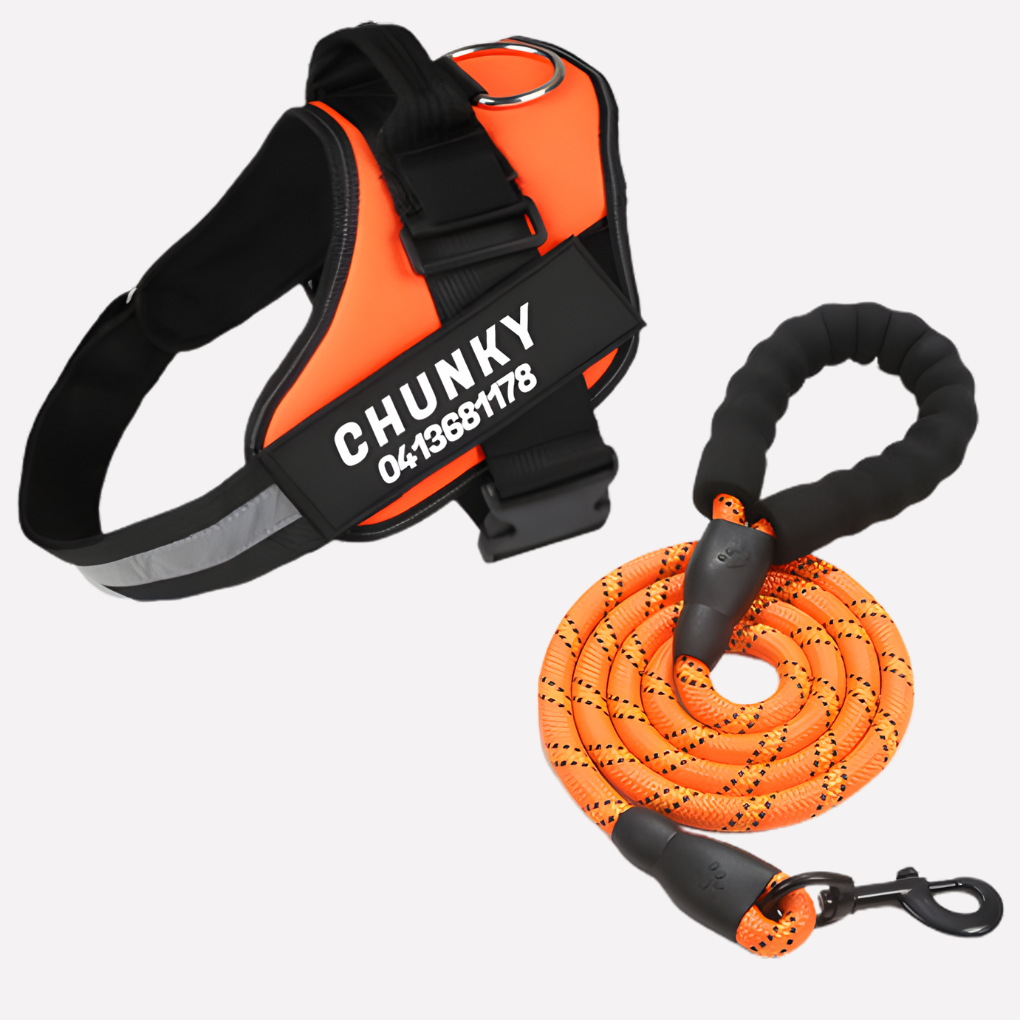 Charly | Customizable Anti-Pull Dog Harness