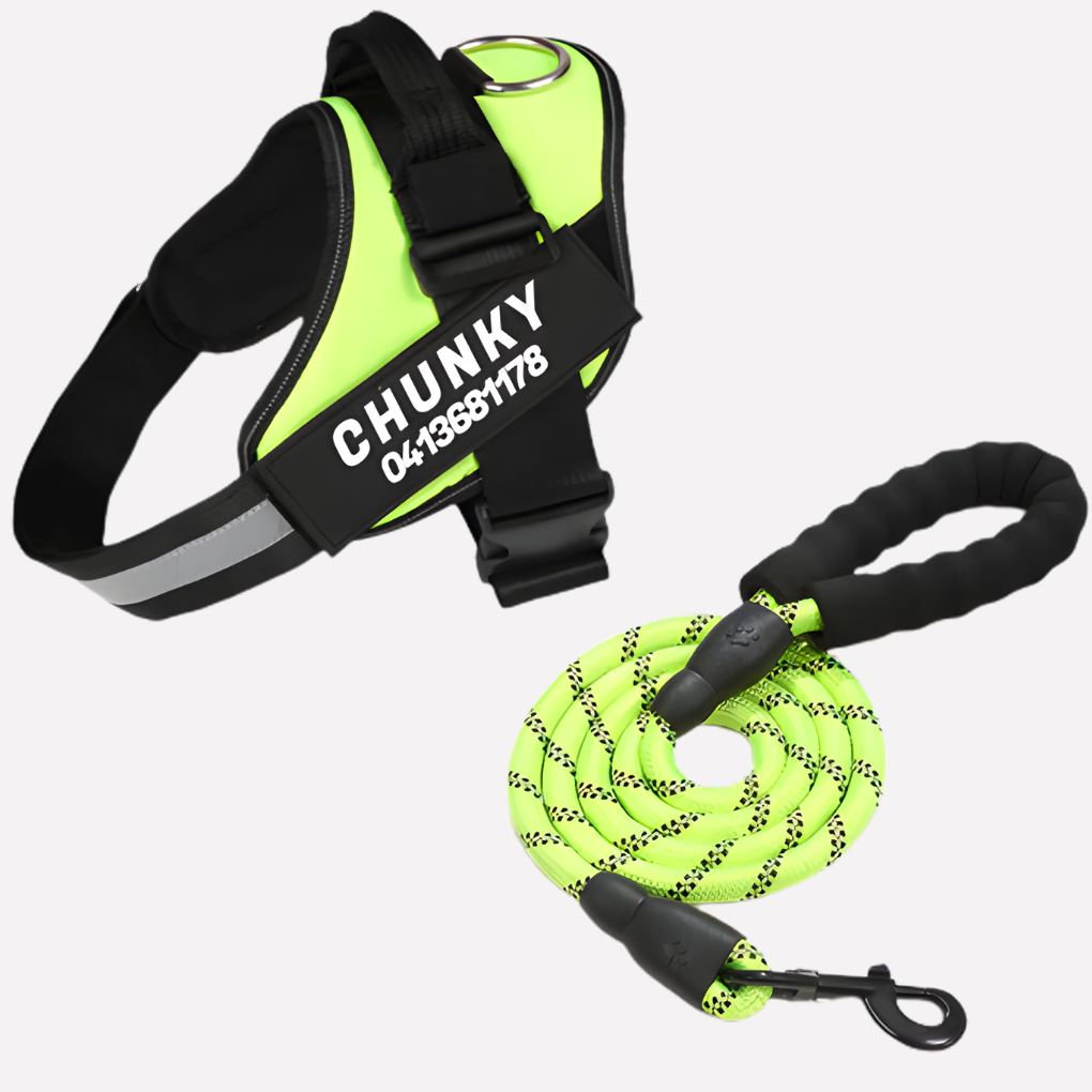 Charly | Customizable Anti-Pull Dog Harness