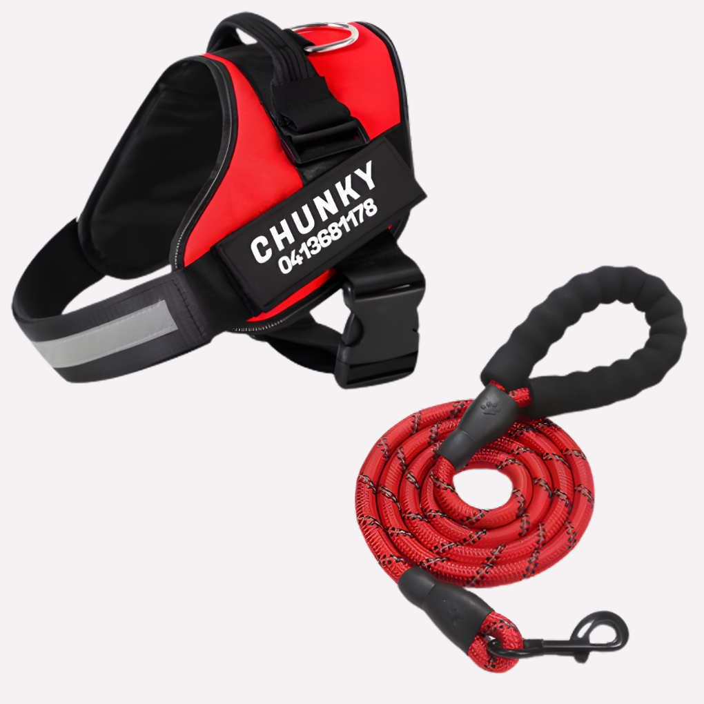 Charly | Customizable Anti-Pull Dog Harness
