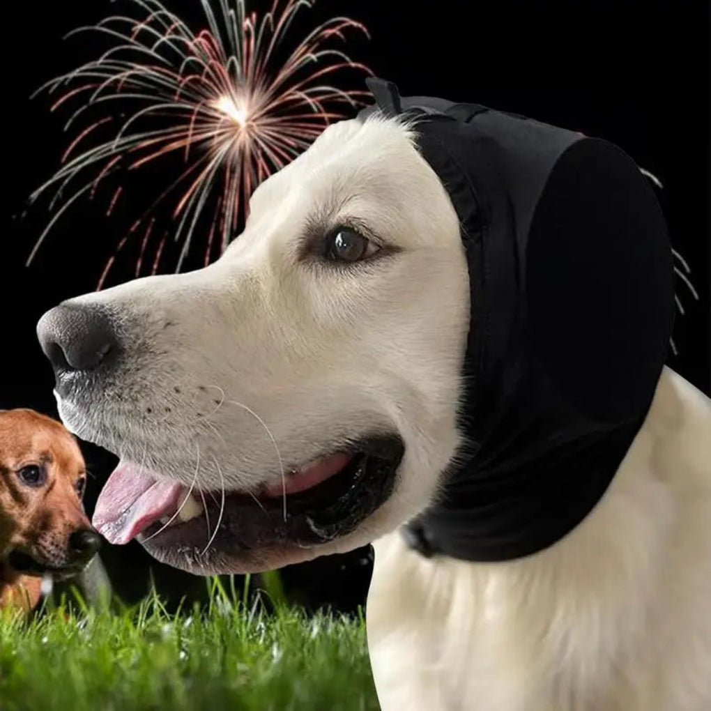 Charly | Dog Cap for Sound Reduction and Calming