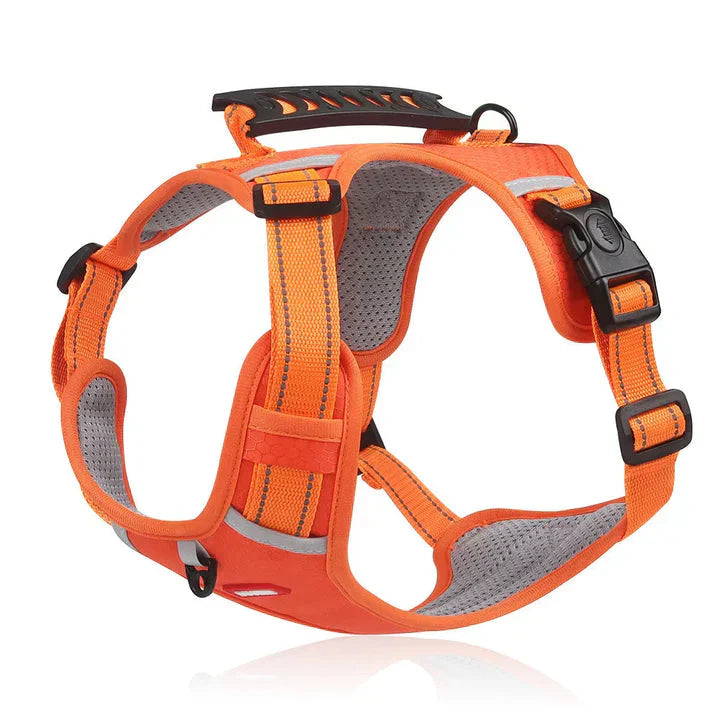 Charly | Dog No-Pull Harness with Padded Comfort and Control Handle