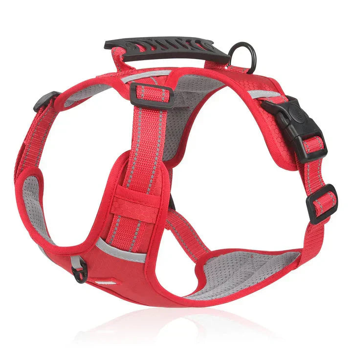 Charly | Dog No-Pull Harness with Padded Comfort and Control Handle