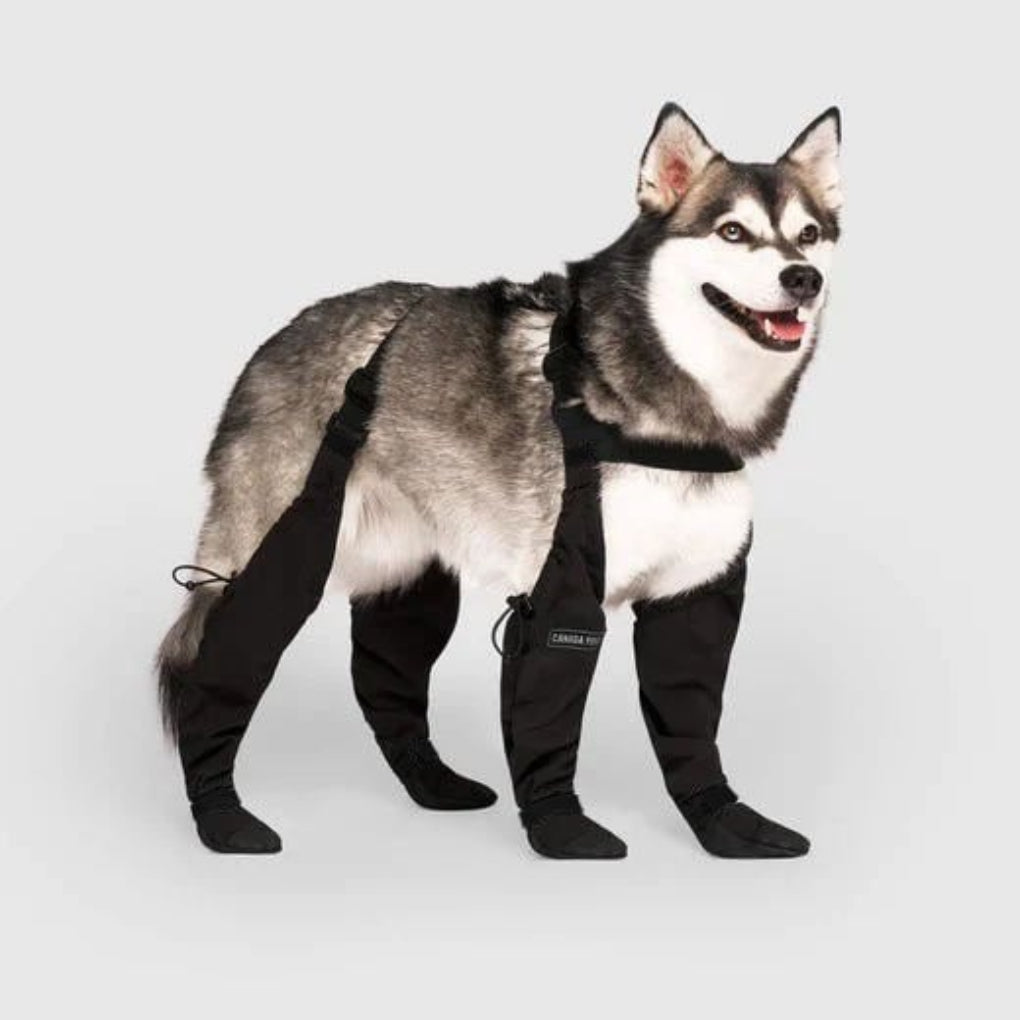 Charly | Dog Paw Protection Boots for Outdoor Adventures