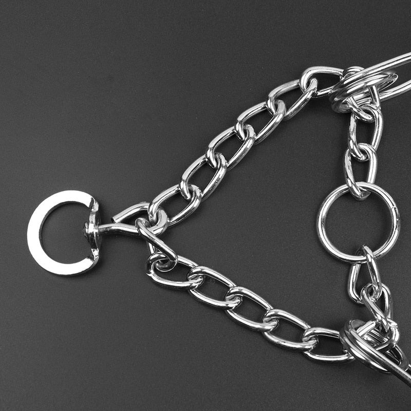 Charly | Dog Pincher Collar - Style B