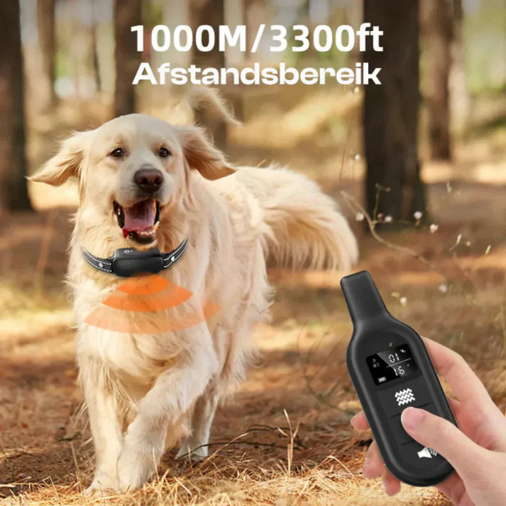 Charly | Dog Training Collar with Remote Control
