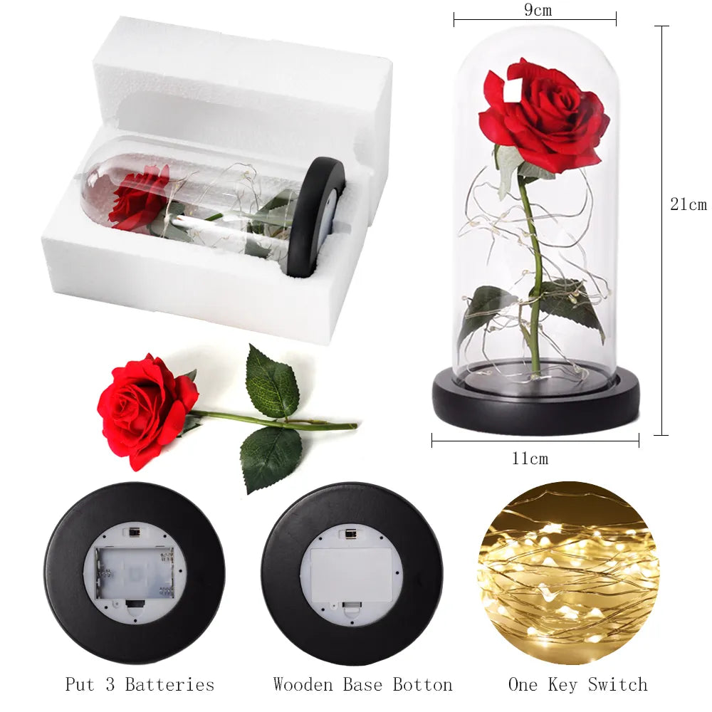 Charly – Eternal Rose in Glass Dome with Atmospheric LED Lighting