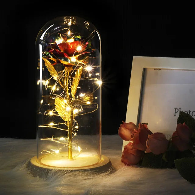 Charly – Eternal Rose in Glass Dome with Atmospheric LED Lighting