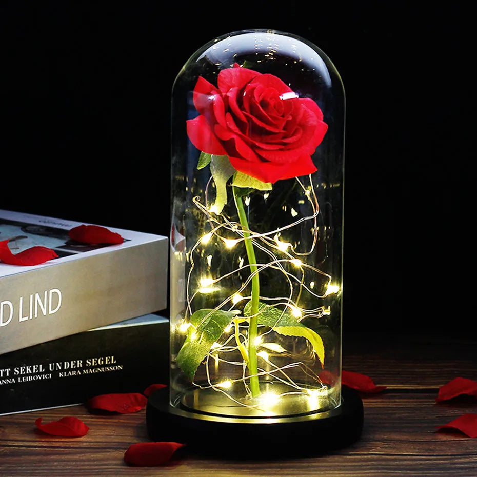 Charly – Eternal Rose in Glass Dome with Atmospheric LED Lighting