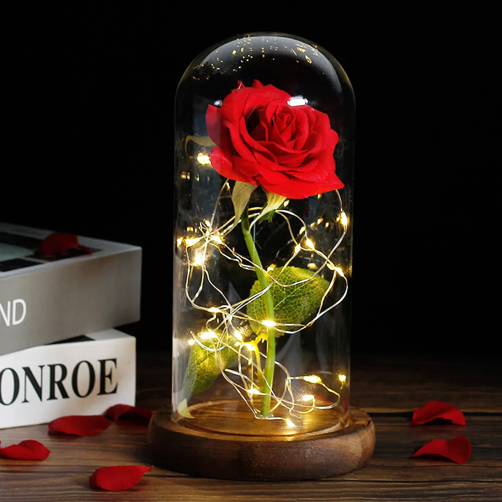 Charly – Eternal Rose in Glass Dome with Atmospheric LED Lighting