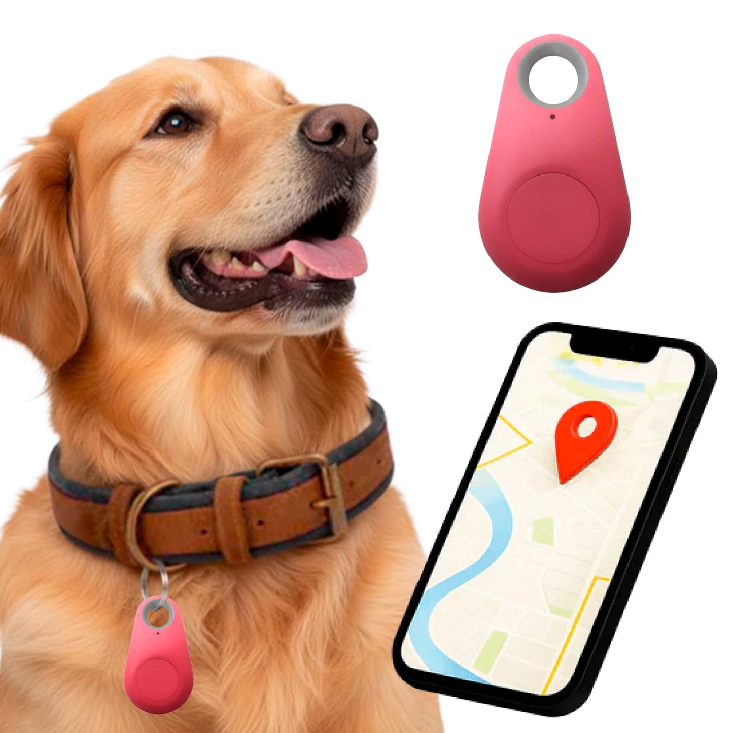 Charly | GPS Dog Tracking | Waterproof, Real-Time Location & Safety Zone Alerts for Outdoor Adventures