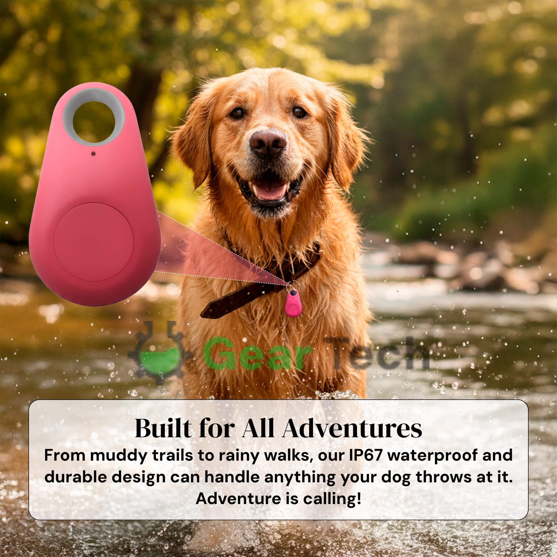 Charly | GPS Dog Tracking | Waterproof, Real-Time Location & Safety Zone Alerts for Outdoor Adventures