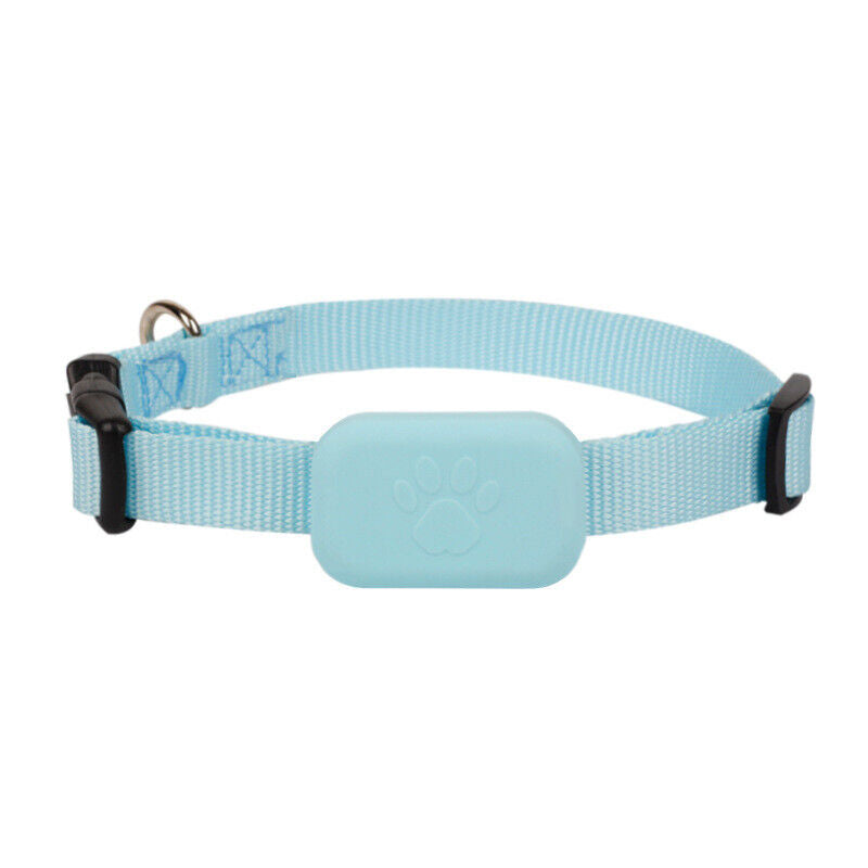 Charly | GPS Tracker Collar for Dogs & Cats - Real-Time Location