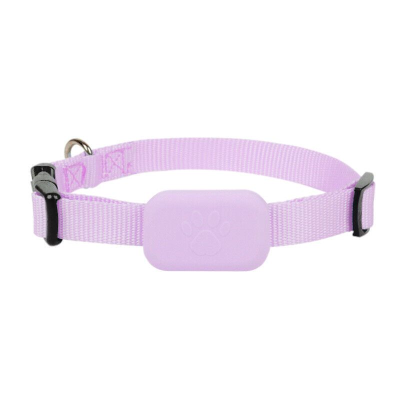 Charly | GPS Tracker Collar for Dogs & Cats - Real-Time Location