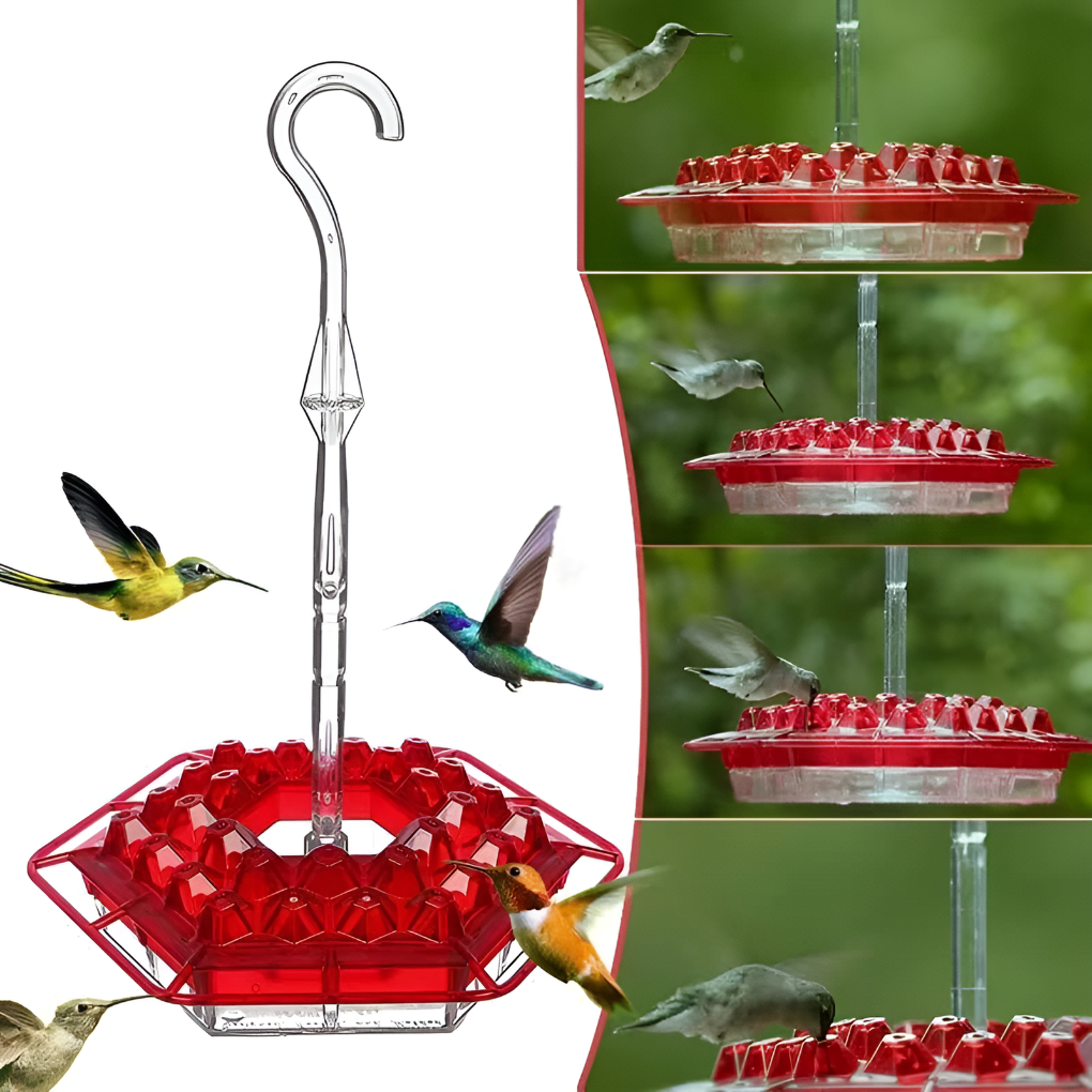 Charly | Hummingbird Feeder with Built-in Ant Moat