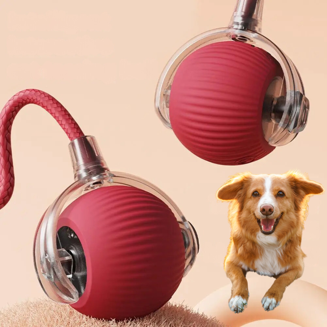 Charly | Interactive Rolling Ball Toy with Tail for Dogs