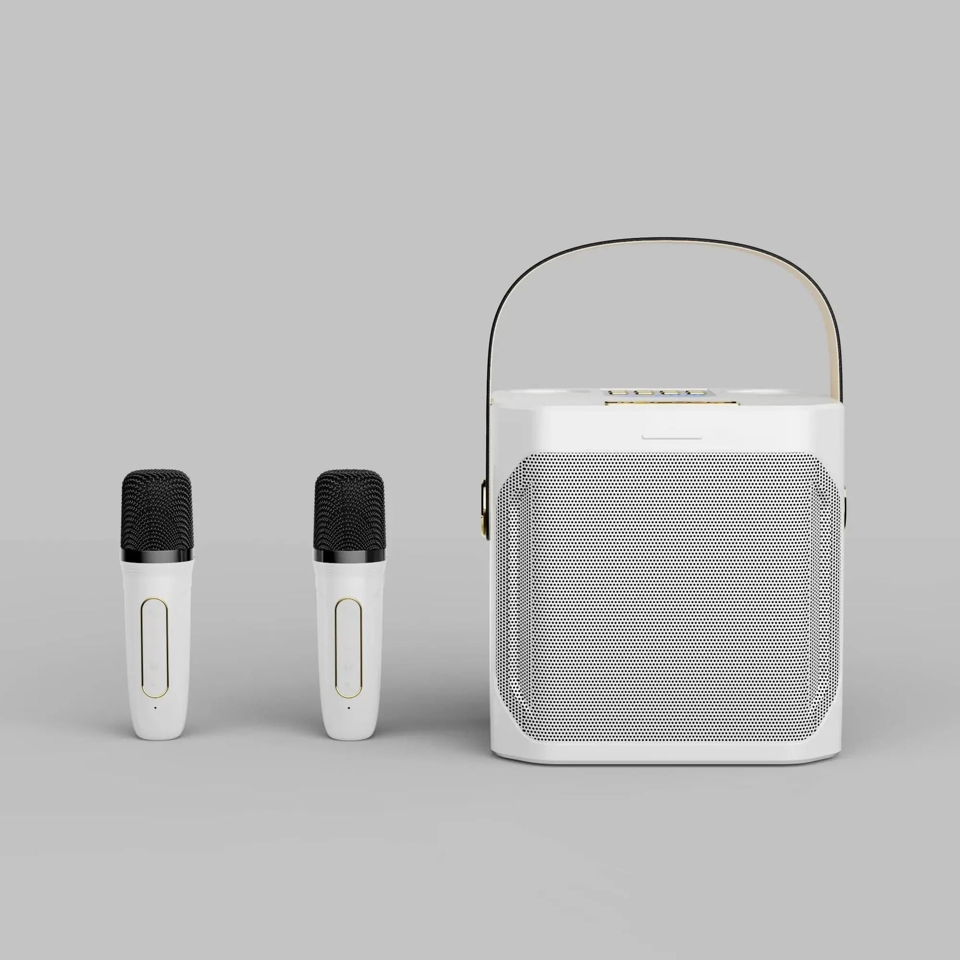 Charly | Karaoke Bluetooth Speaker – 360° Surround Wireless Subwoofer with Dual Mics
