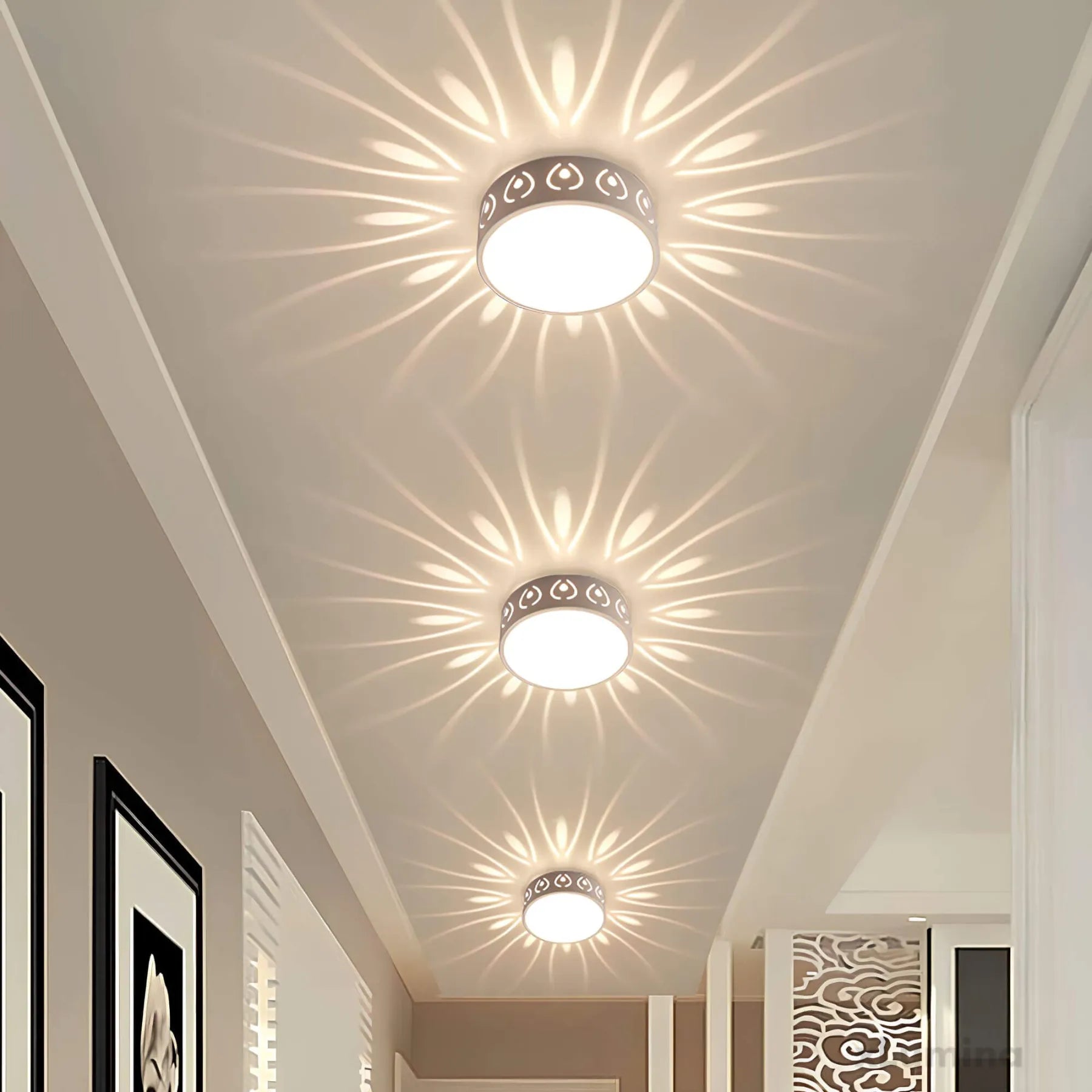 Charly | LED Ceiling Light - for Entrance, Hallway, and Balcony