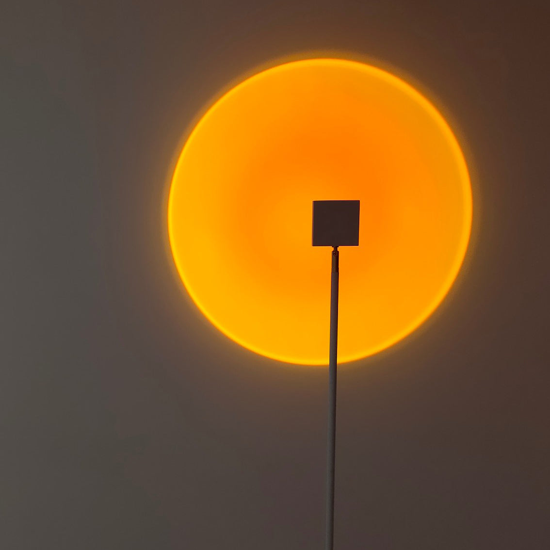 Charly | LED Color Projector Floor Lamp | Minimalist Halo Light Effect