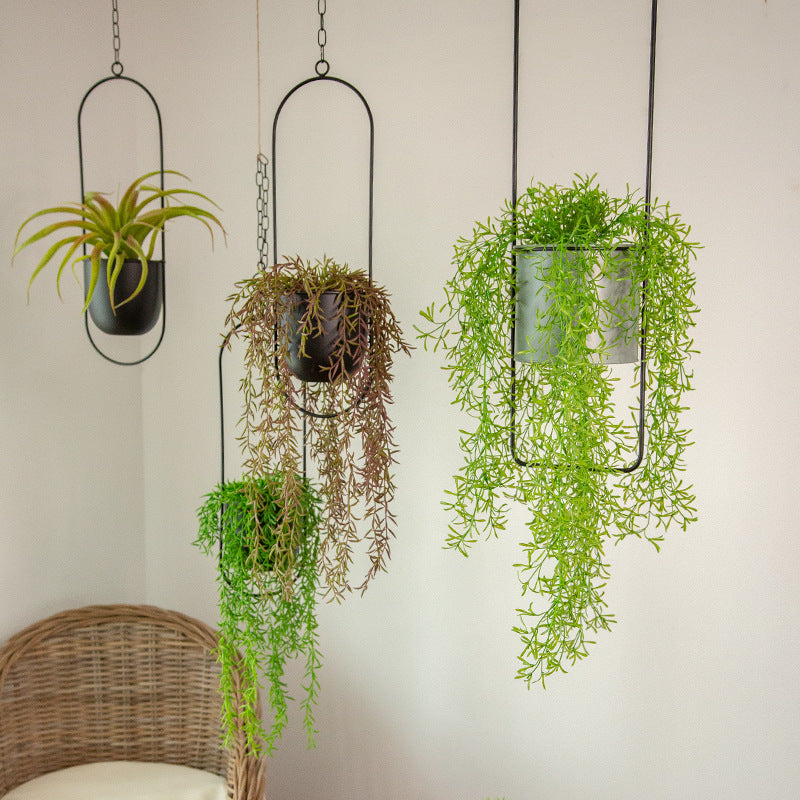 Charly | Luxury Modern Hanging Pots