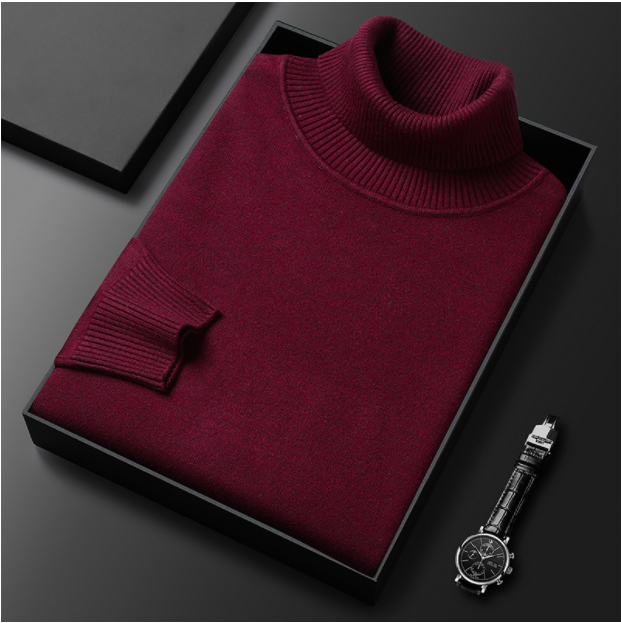Charly | Men's Turtleneck sweater with ribbed cuffs