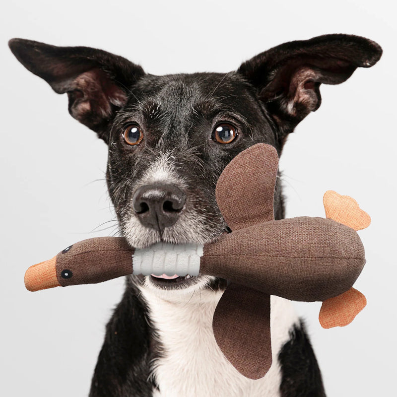 Charly | Plush Duck Dog Toy with Squeaker