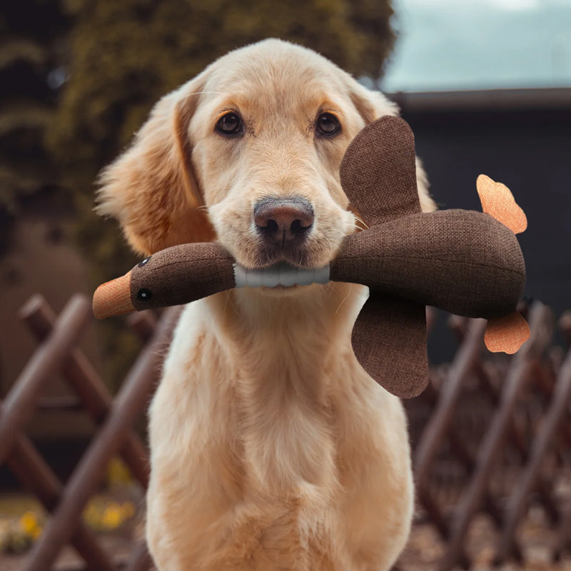 Charly | Plush Duck Dog Toy with Squeaker