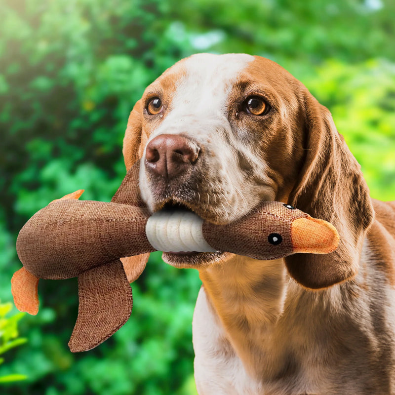 Charly | Plush Duck Dog Toy with Squeaker