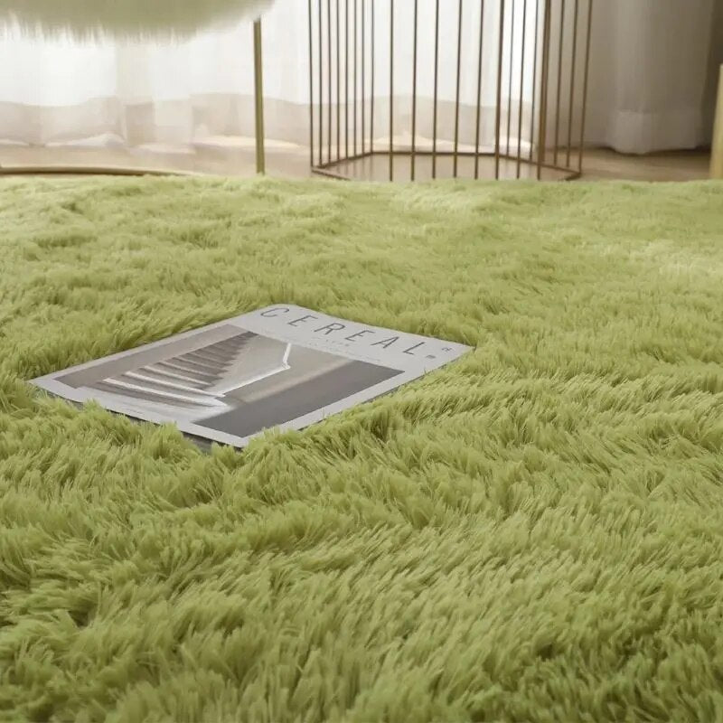Charly | Plush Soft Area Rug | Modern Wilton Style