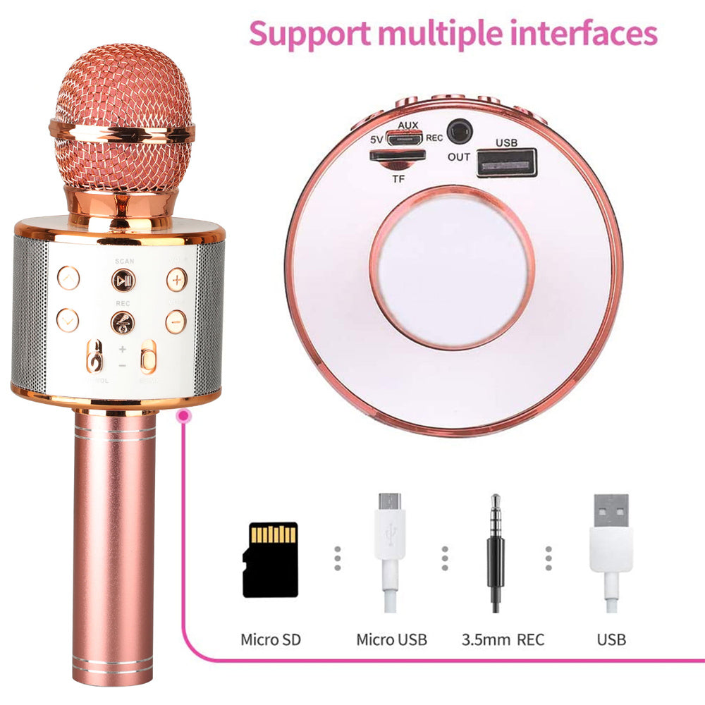 Charly | Rechargeable Wireless Bluetooth Karaoke Microphone