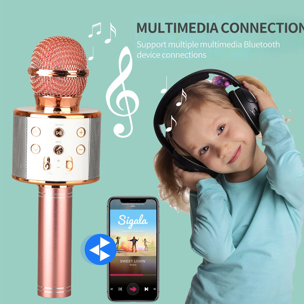 Charly | Rechargeable Wireless Bluetooth Karaoke Microphone