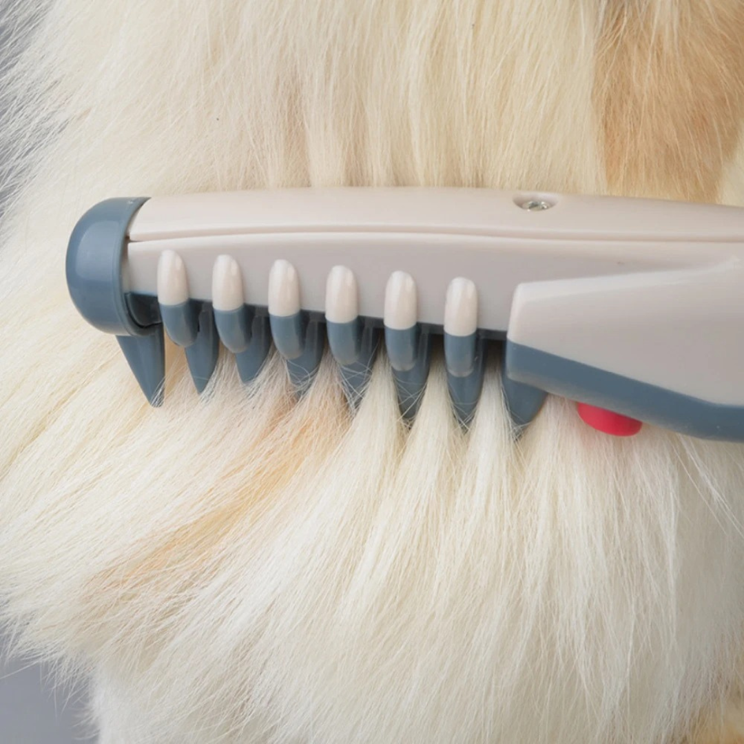 Charly | Tangle-Free Pet Grooming Brush – Gentle & Effective Detangler for Cats & Dogs