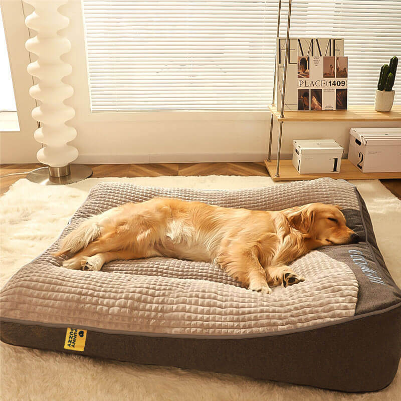 Charly | Thick scratch-resistant spine protection dog bed