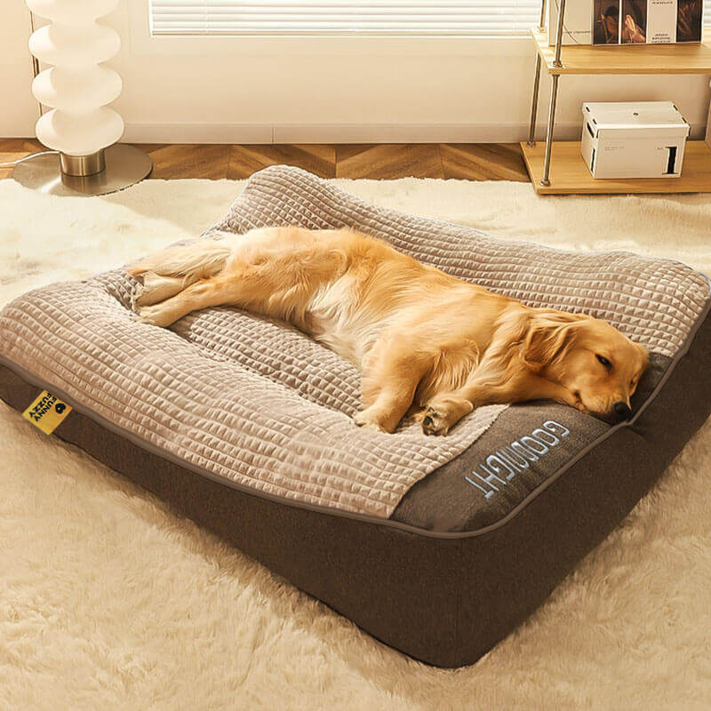 Charly | Thick scratch-resistant spine protection dog bed