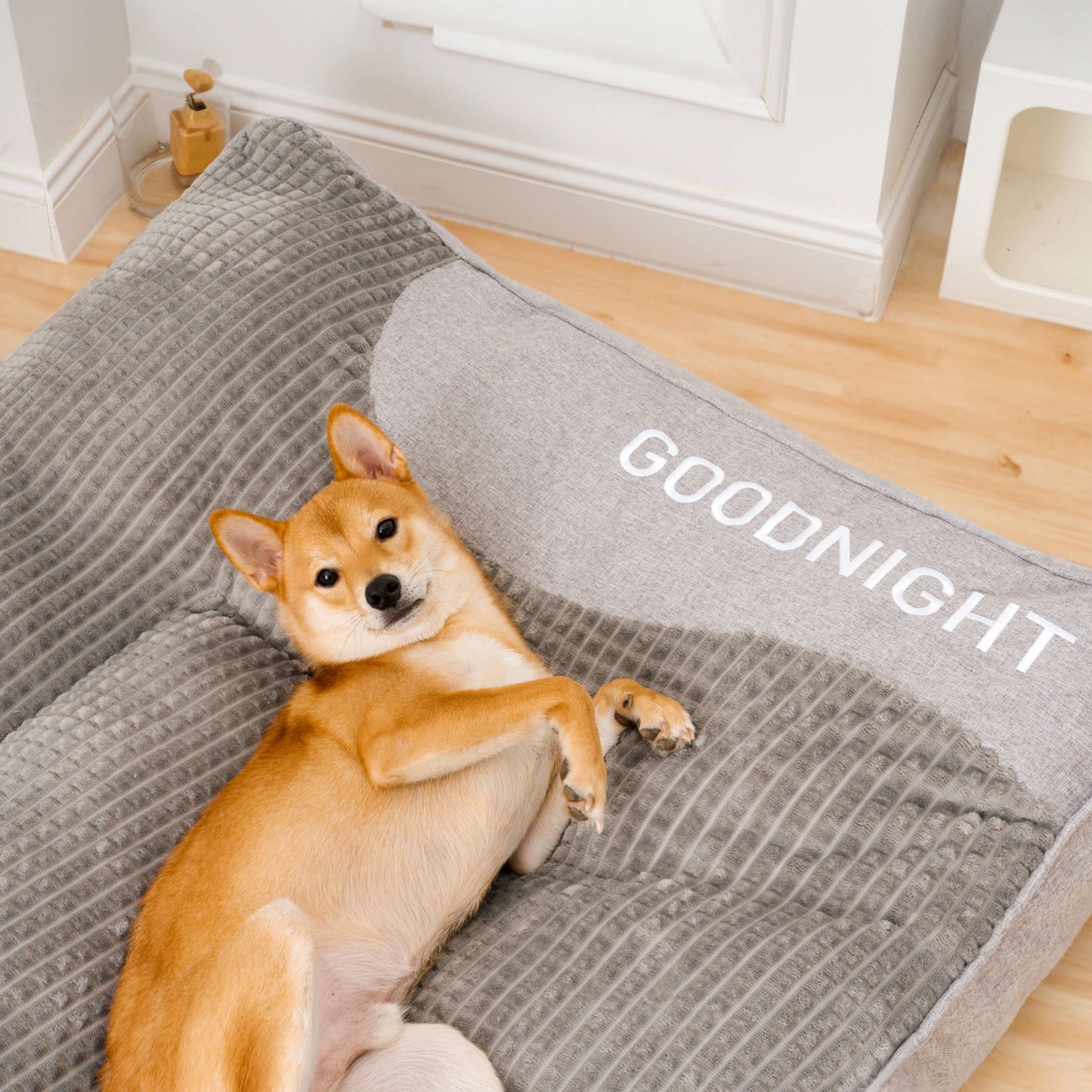 Charly | Thick scratch-resistant spine protection dog bed