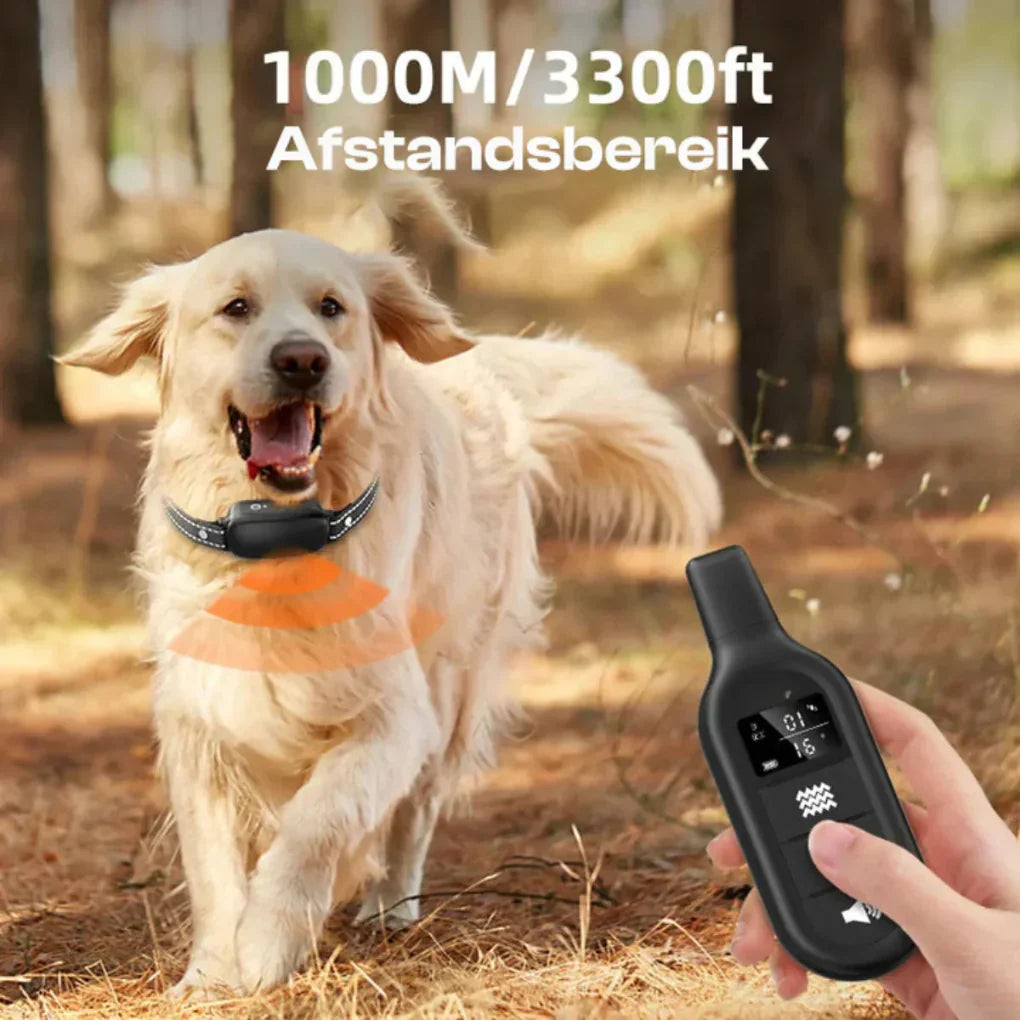 Charly | Training Collar for Dogs with Remote 1000m
