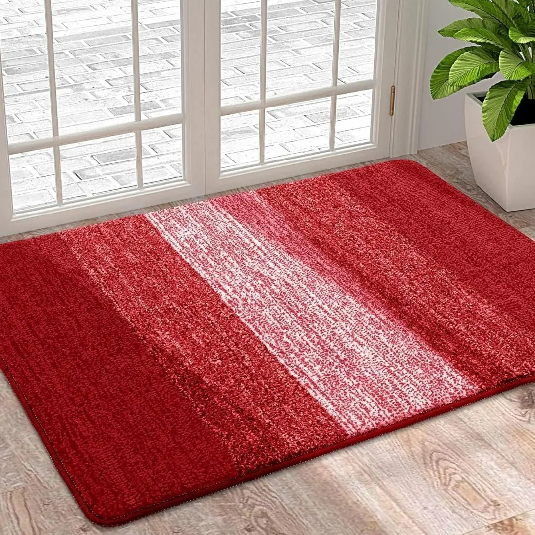 Charly | Washable Door Mat for Entrances with Water-Absorbing Design