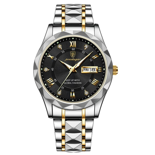 Charly | Waterproof Luxury Men's Watch From the Top Brand with Luminous Function
