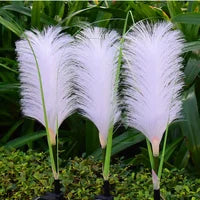 Decorative Wicker Garden Lighting - SunReed