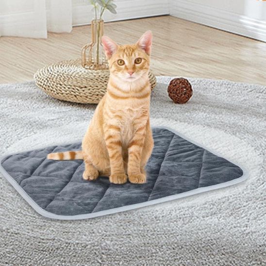 heating mat for cats