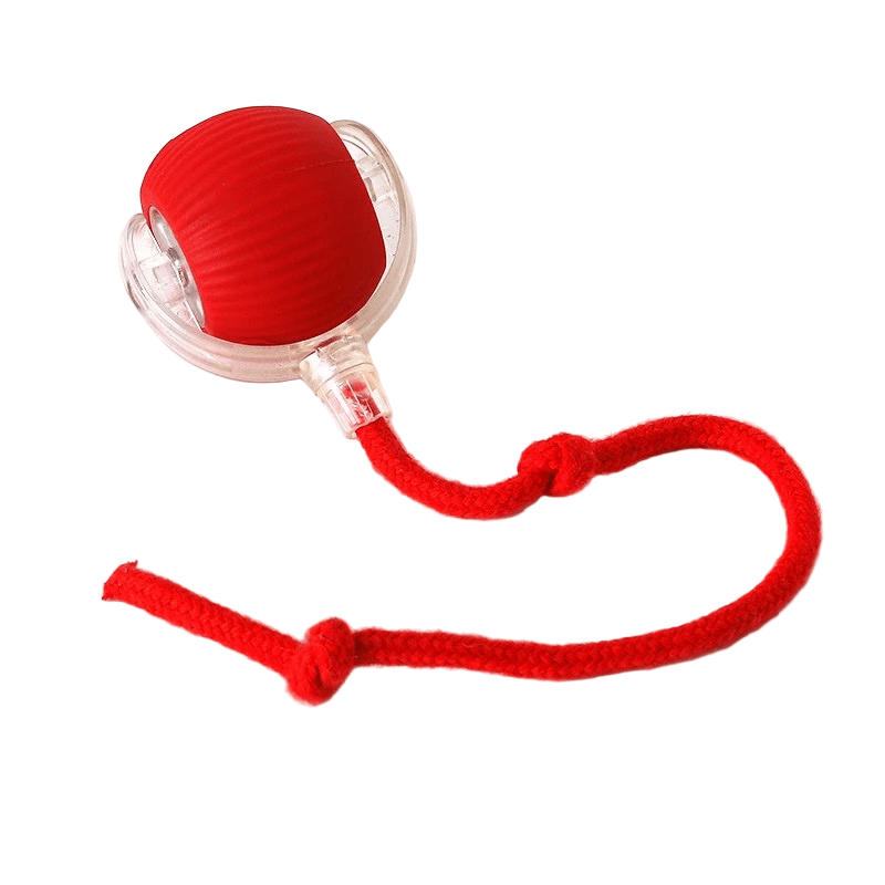 PLAYPET Interactive Dog Ball – Rechargeable Bouncing Ball